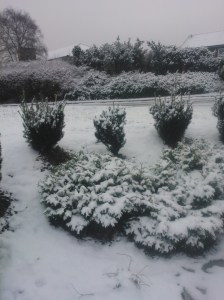 Snow!