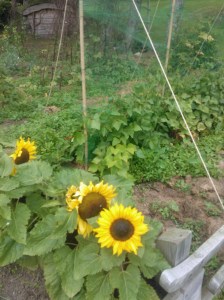 Can't wait for summer and sunshine!