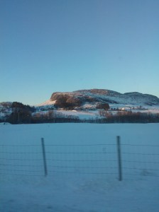 On our way home