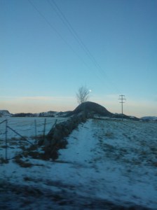 WP_000784