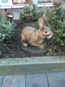 The hare and the fox