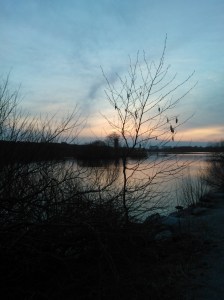 Picture from a walk the other day