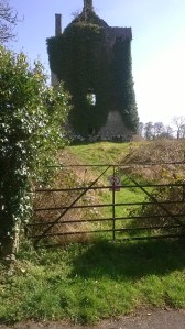 WP_20150406_12_06_03_Pro (1)