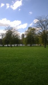 View of park from where we had a small picnic