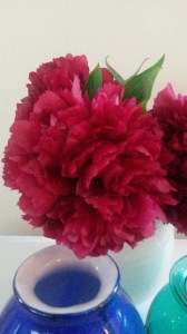 Peony from mum's garden!