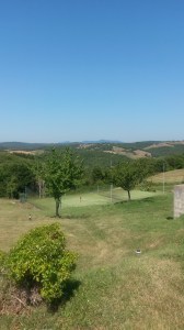 Garden with tennis court