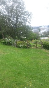 Garden with student accommodation in background