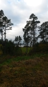 Nice to be out and about