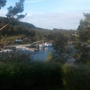 Lovely October morning!