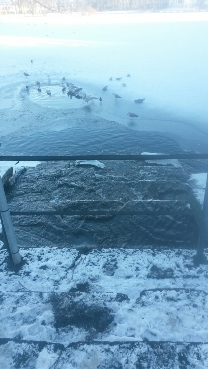 20160117_142418.jpg image