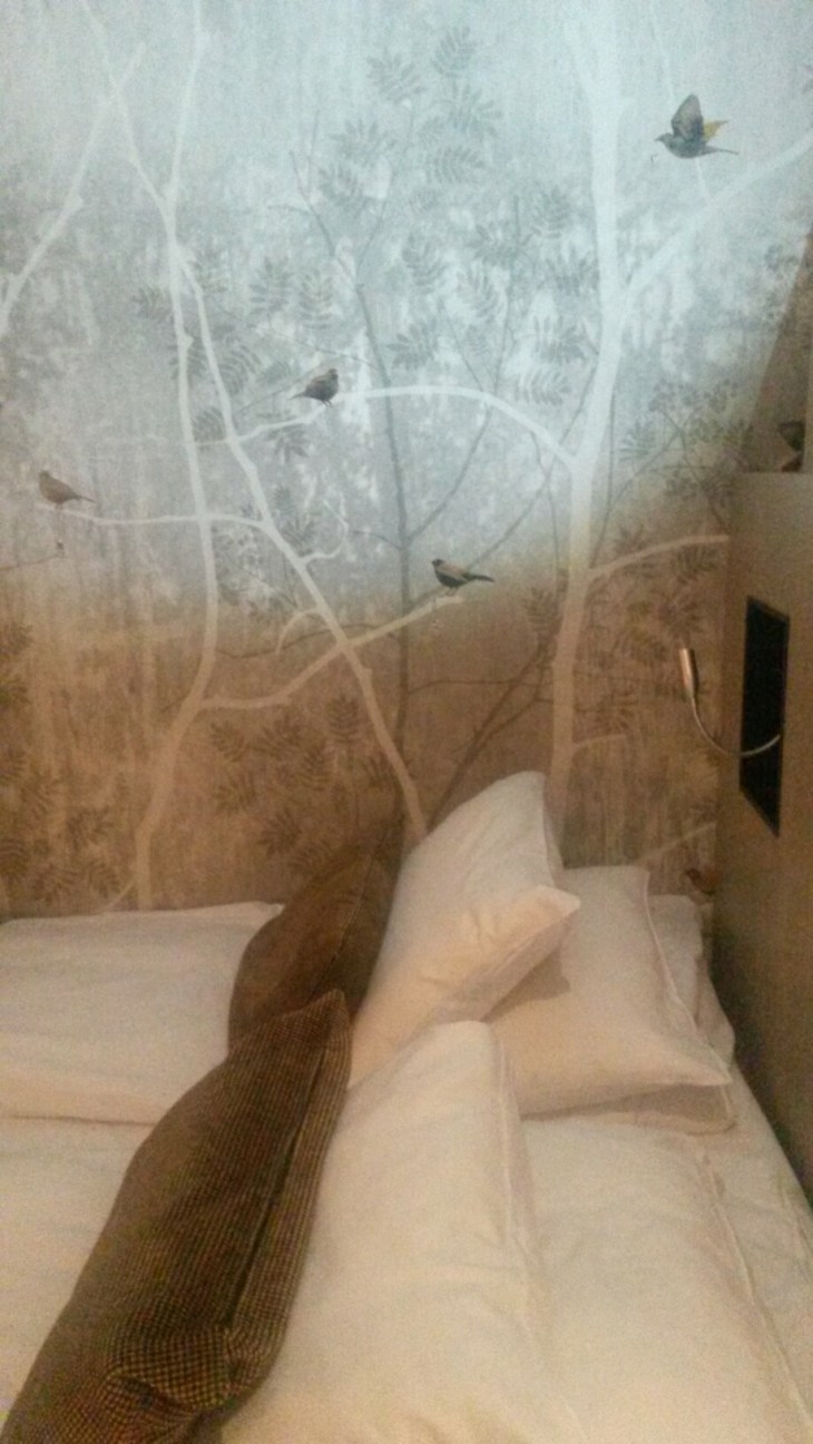 20160205_002653.jpg image