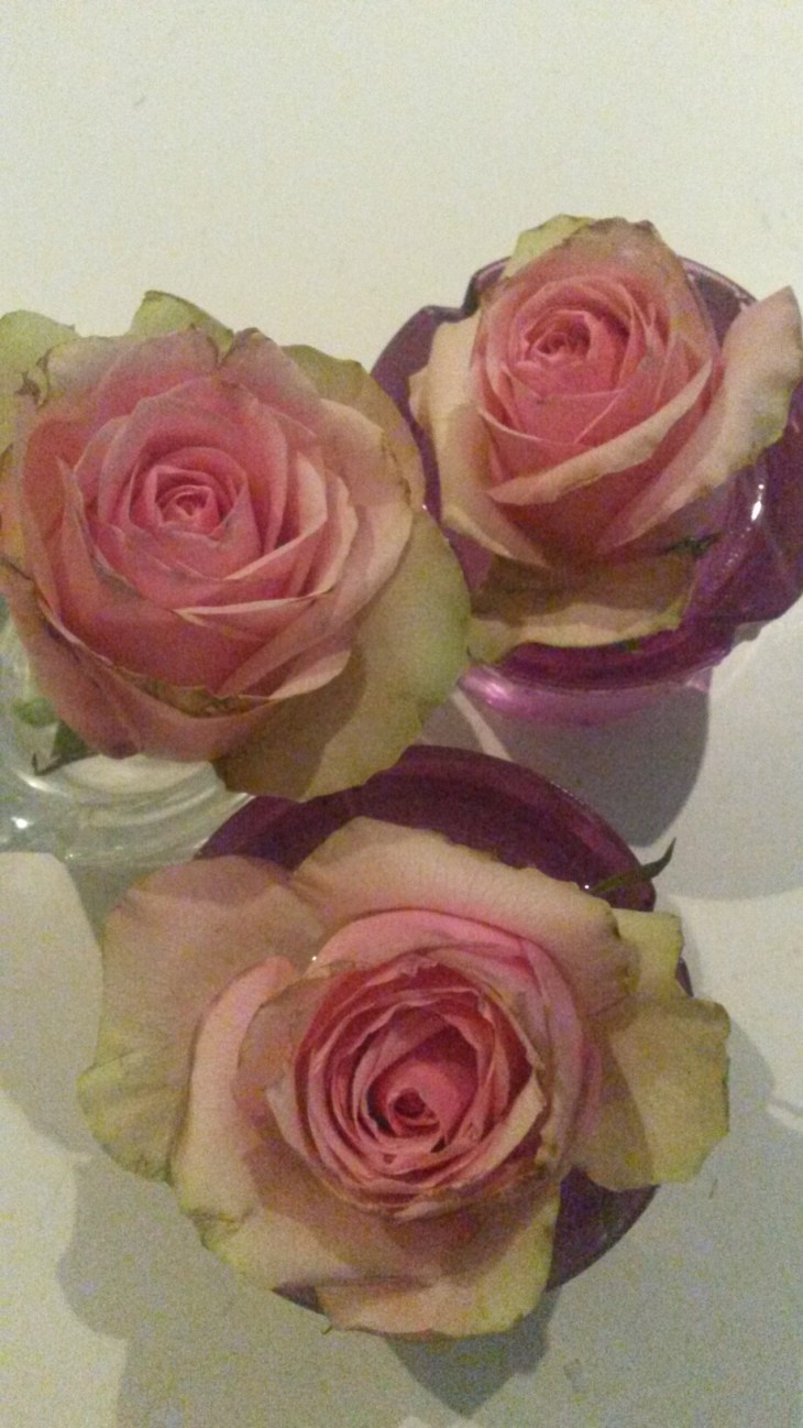 20160227_104519.jpg image