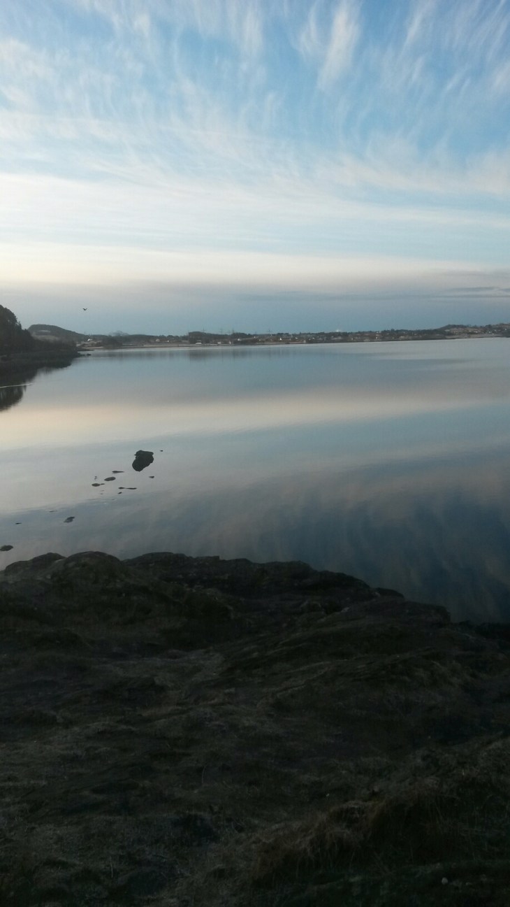 20160305_080847.jpg image