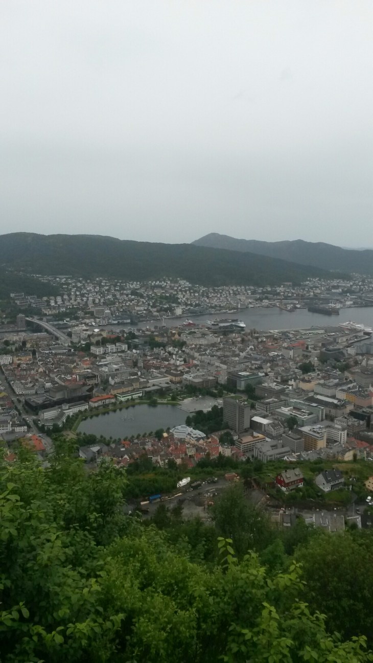 20160629_133443.jpg image